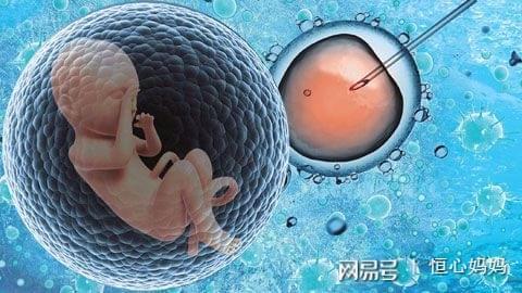紫韵医疗